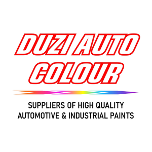 Duzi Auto Colour Logo Footer